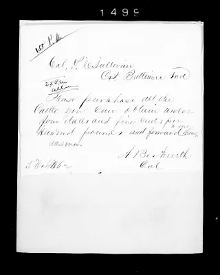 p. 11