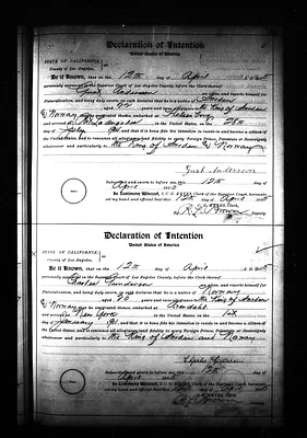 p. 43