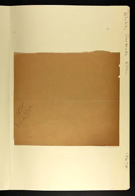 p. 19