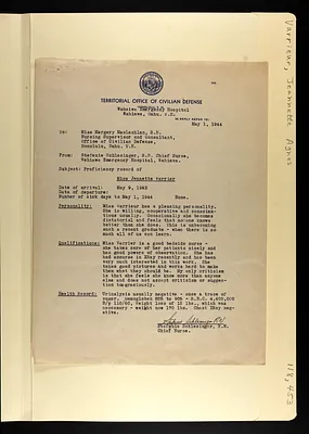 p. 19