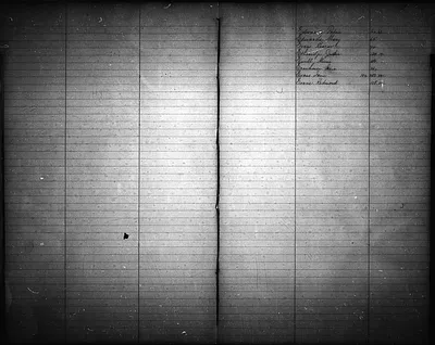 p. 7