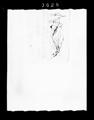 p. 41