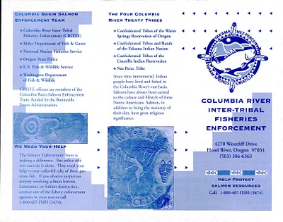 p. 20