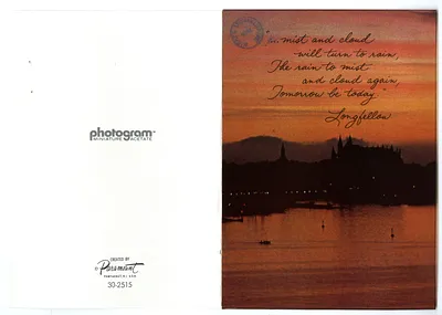 p. 41