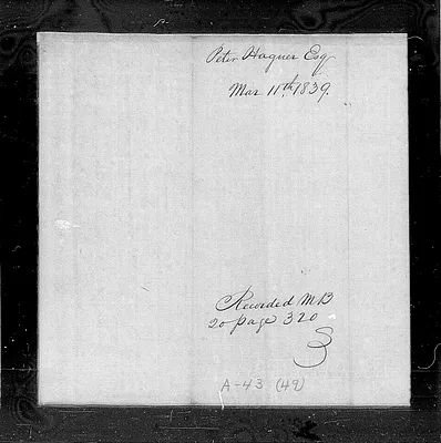 p. 11
