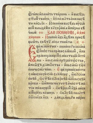 p. 56
