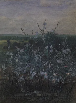 Wild Chicory in front of a Landscape