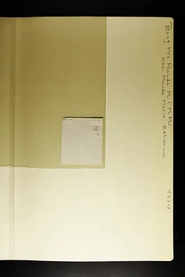 p. 45