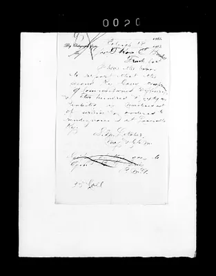 p. 31