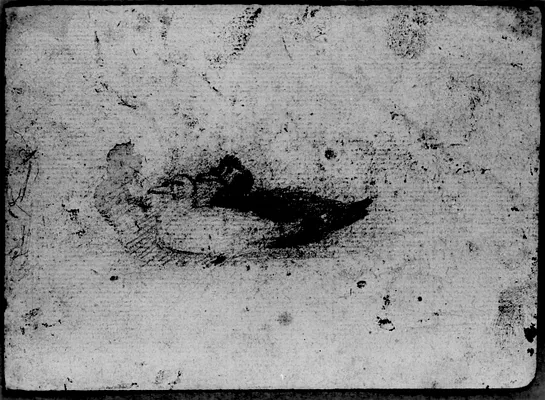 Sketch of Two Ducks