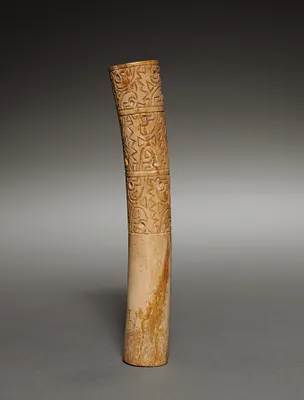 Ear Ornament