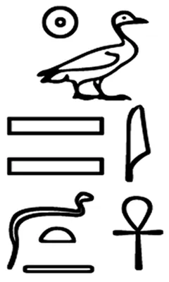 p. 5