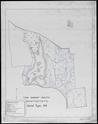 Tom Swamp South forest types 1913
