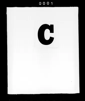 p. 4