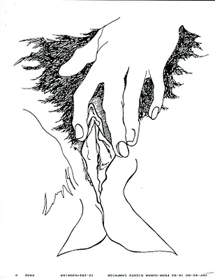 p. 43