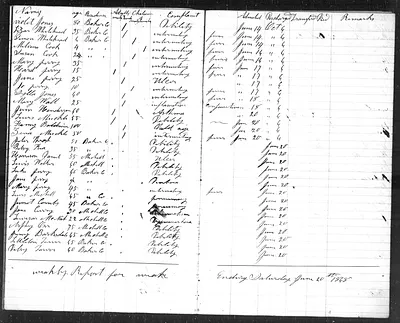 p. 23