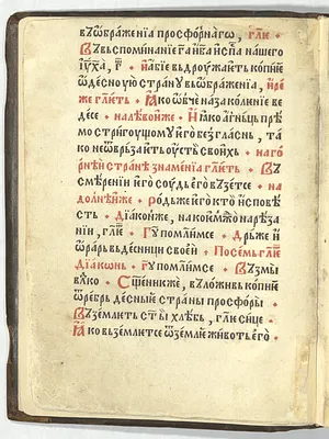 p. 8