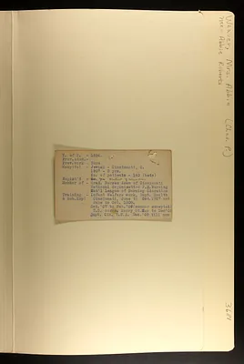 p. 60