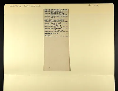 p. 5