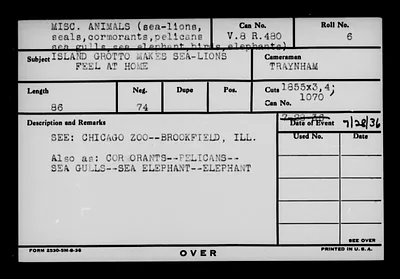 p. 54