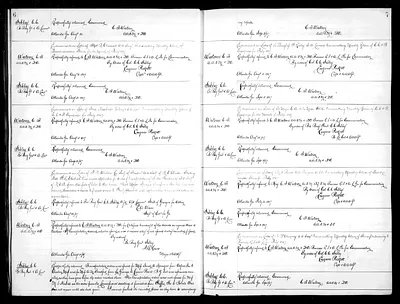 p. 29