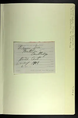 p. 10