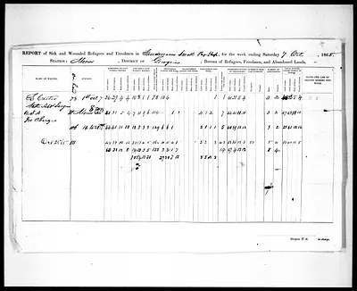 p. 5