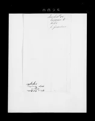 p. 36