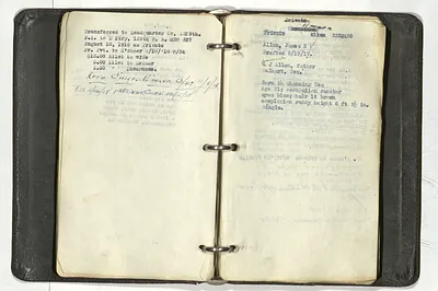 p. 46