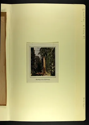 p. 4