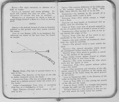 p. 7