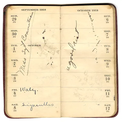 p. 45