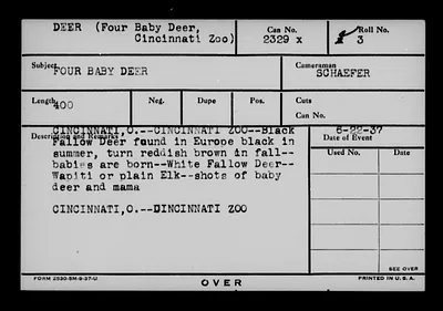 p. 23