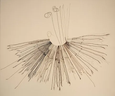 Inka Khipu (Fiber Recording Device)