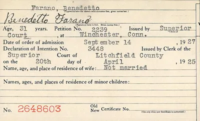 p. 29