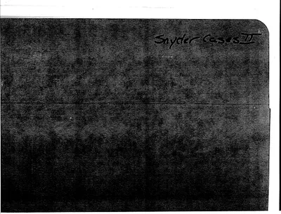 p. 3