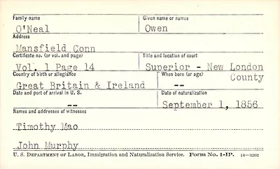 p. 19