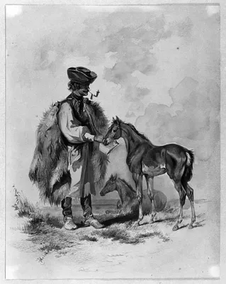 p. 3