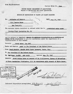 p. 9