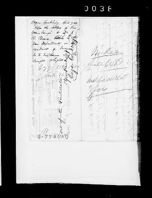 p. 41