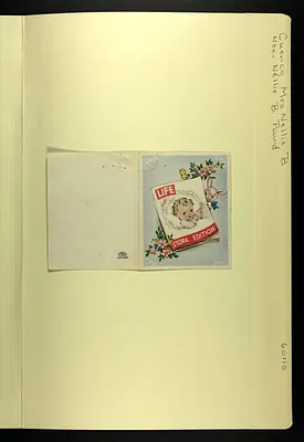 p. 7