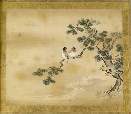 Unknown Bird in Pine