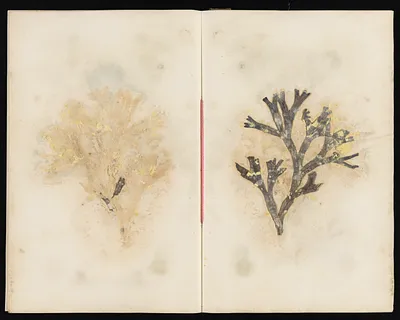 p. 53