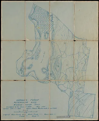 Topographic map of Meadow-water Tract (TS I-VII)