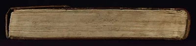 p. 10