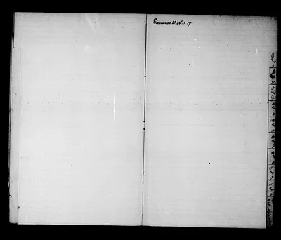 p. 5