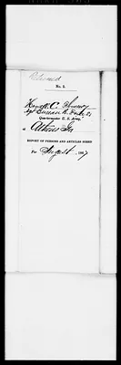 p. 31