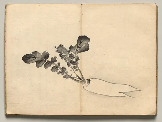 Radish from Ōkyo Picture Book