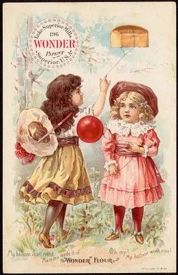 Oh my! My balloon won't rise! My balloon is all right, mamma made it of "Wonder Flour."