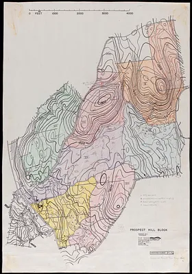 Harvard Forest 1945 Prospect Hill Block soils and vegetation